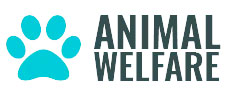 animal-welfare.jpg